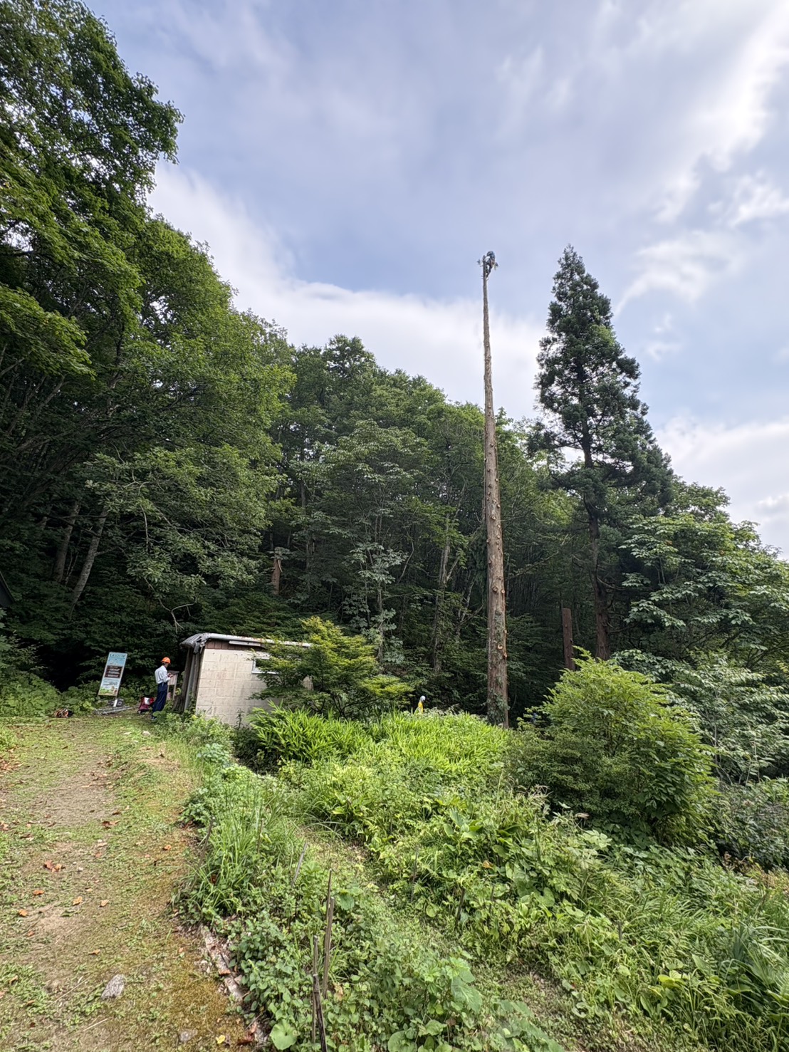 before
